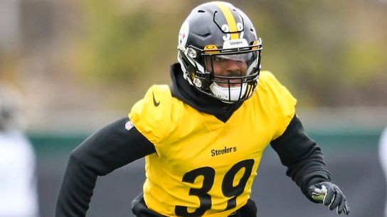 Fitzpatrick, Watt selected to Pro Bowl taken on the South Side (Steelers)